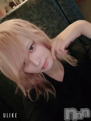 ĮۥȡܡСA151(ݥ) 򥷥1031̥֥֤Ϥ