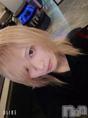 ĮۥȡܡСA151(ݥ) 򥷥112ְ̥֥Ǥ