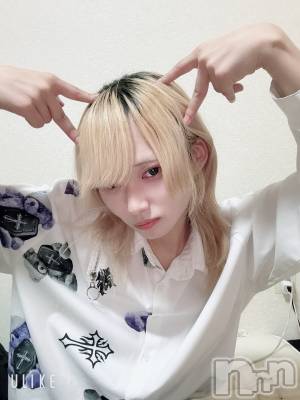 ĮۥȡܡСA151(ݥ) 򥷥117̥֥