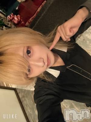 ĮۥȡܡСA151(ݥ) 򥷥118ֻ̥֥Ż򤷤ޤ