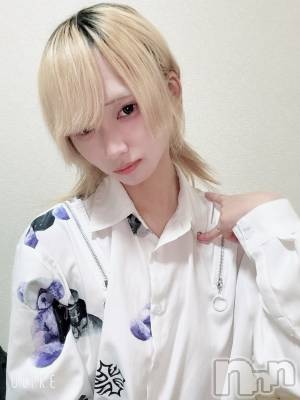 ĮۥȡܡСA151(ݥ) 򥷥1110̥֥10Ǥ