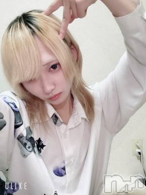 ĮۥȡܡСA151(ݥ) 򥷥1113̥֥֤塪