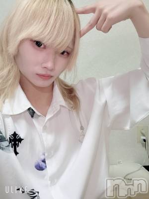 ĮۥȡܡСA151(ݥ) 򥷥1114ֻ̥֥Żޤ