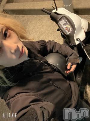 ĮۥȡܡСA151(ݥ) 򥷥1116̥֥ϤʤƤ^_^