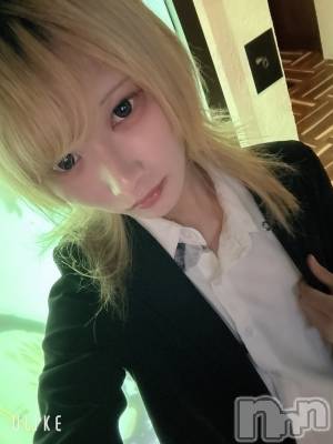 ĮۥȡܡСA151(ݥ) 򥷥1117ֽ̥֥жФ