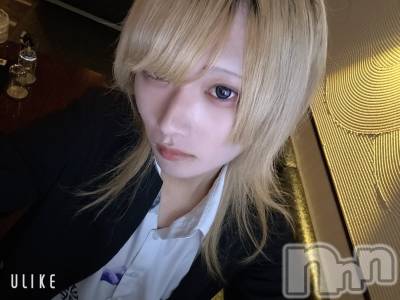 ĮۥȡܡСA151(ݥ) 򥷥1122ֽ̥֥жФ