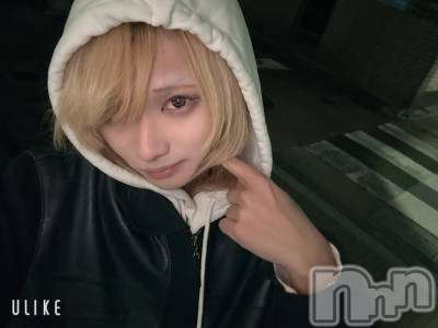 ĮۥȡܡСA151(ݥ) 򥷥1123ָ̥֥ճʹɤʤä