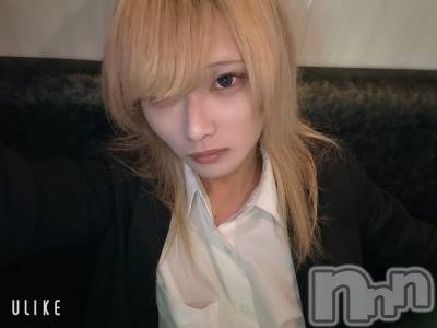 ĮۥȡܡСA151(ݥ) 򥷥1126ֽ̥֥жФ