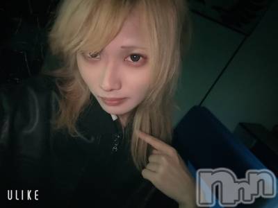 ĮۥȡܡСA151(ݥ) 򥷥1127ֽ̥֥жФ