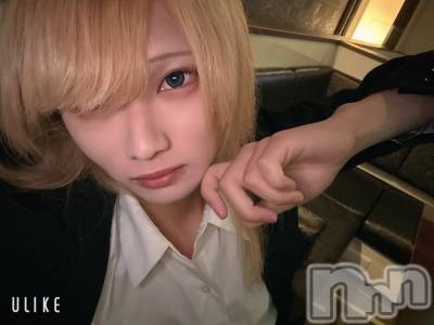 ĮۥȡܡСA151(ݥ) 򥷥1130ֻ̥֥ŻǤǤ