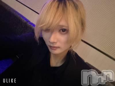 ĮۥȡܡСA151(ݥ) 򥷥126̥֥֥ץľʤ