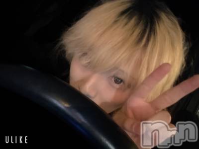 ĮۥȡܡСA151(ݥ) 򥷥127̥֥֤֡