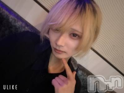 ĮۥȡܡСA151(ݥ) 򥷥1211̥֥֤Ϥ褦