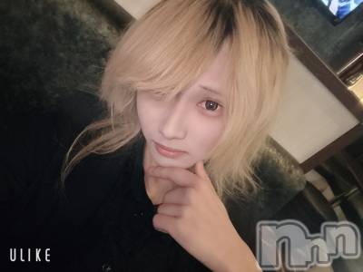 ĮۥȡܡСA151(ݥ) 򥷥1213̥֥֤Ф