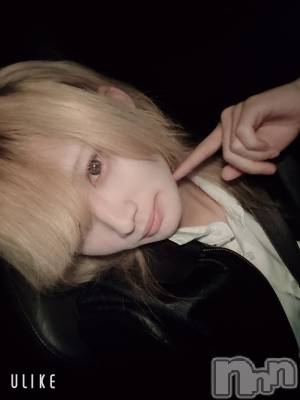 ĮۥȡܡСA151(ݥ) 򥷥1214ּ̥֥֤ǽжС