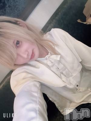 ��Į�ۥ��ȡ��ܡ������С�A151(�����������ݥ���) ��򥷥��1��10���̥�֥����ֽжС�