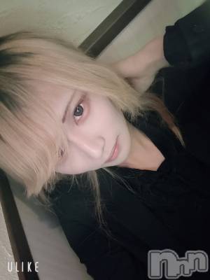 ��Į�ۥ��ȡ��ܡ������С�A151(�����������ݥ���) ��򥷥��1��15���̥�֥����֤�Ǥ�����������