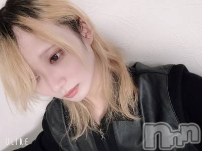 ��Į�ۥ��ȡ��ܡ������С�A151(�����������ݥ���) ��򥷥��1��16���̥�֥����ֽжФǤ���