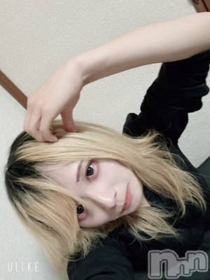 ��Į�ۥ��ȡ��ܡ������С�A151(�����������ݥ���) ��򥷥��1��19���̥�֥����ֽжФ���