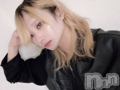 ��Į�ۥ��ȡ��ܡ������С�A151(�����������ݥ���) ��򥷥��1��24���̥�֥����ֽжФ�������