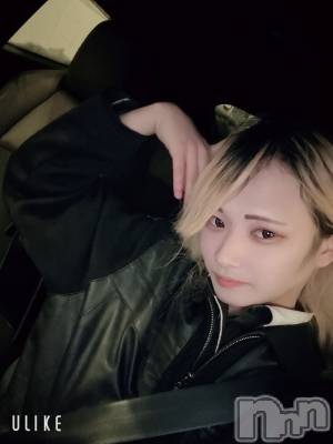 ��Į�ۥ��ȡ��ܡ������С�A151(�����������ݥ���) ��򥷥��1��25���̥�֥���������������