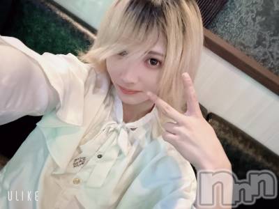 ��Į�ۥ��ȡ��ܡ������С�A151(�����������ݥ���) ��򥷥��1��26���̥�֥����֥С����ǡ����꤬�Ȥ���