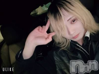 ��Į�ۥ��ȡ��ܡ������С�A151(�����������ݥ���) ��򥷥��2��2���̥�֥����ֽжФ���