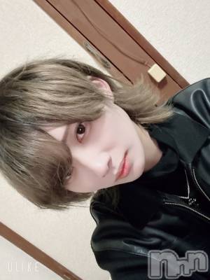 ��Į�ۥ��ȡ��ܡ������С�A151(�����������ݥ���) ��򥷥��2��15���̥�֥����ֽжФ�����