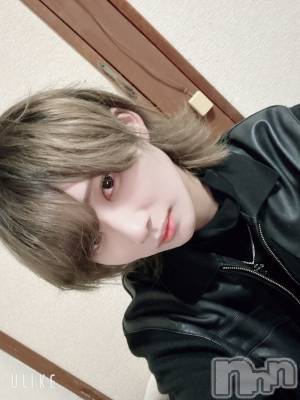 ��Į�ۥ��ȡ��ܡ������С�A151(�����������ݥ���) ��򥷥��3��11���̥�֥����֤ۤ��줤����