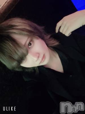 ��Į�ۥ��ȡ��ܡ������С�A151(�����������ݥ���) ��򥷥��3��14���̥�֥����ֽжС�