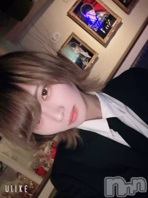 ��Į�ۥ��ȡ��ܡ������С�A151(�����������ݥ���) ��򥷥��3��18���̥�֥�����������������