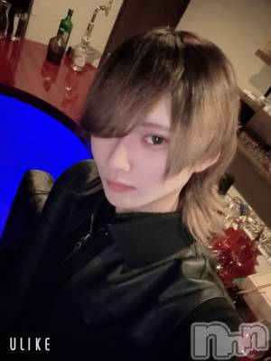 ��Į�ۥ��ȡ��ܡ������С�A151(�����������ݥ���) ��򥷥��3��30���̥�֥������������Ǥ���