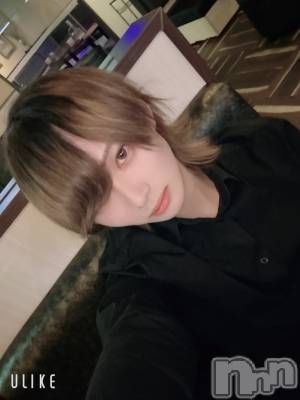 ��Į�ۥ��ȡ��ܡ������С�A151(�����������ݥ���) ��򥷥��4��4���̥�֥����֤�����