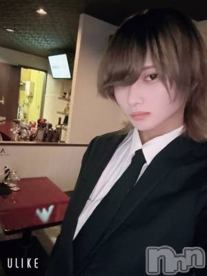 ��Į�ۥ��ȡ��ܡ������С�A151(�����������ݥ���) ��򥷥��4��5���̥�֥����ֽжС�