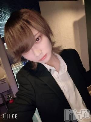 ��Į�ۥ��ȡ��ܡ������С�A151(�����������ݥ���) ��򥷥��4��10���̥�֥����֤���ä������