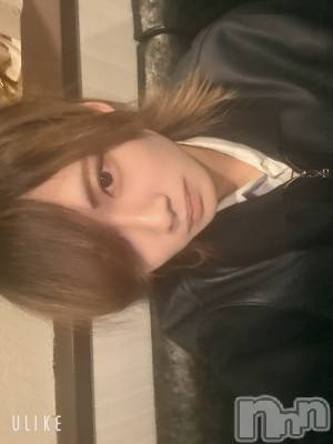 ��Į�ۥ��ȡ��ܡ������С�A151(�����������ݥ���) ��򥷥��4��15���̥�֥������⥫�����Ƥޤ���