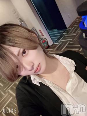 ��Į�ۥ��ȡ��ܡ������С�A151(�����������ݥ���) ��򥷥��4��23���̥�֥����ֽжФ���