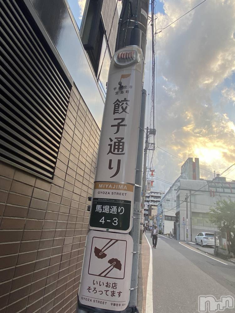 ĮХ顦֥ ץ ( ץ ) 䡡614̥֥>  ̫ <