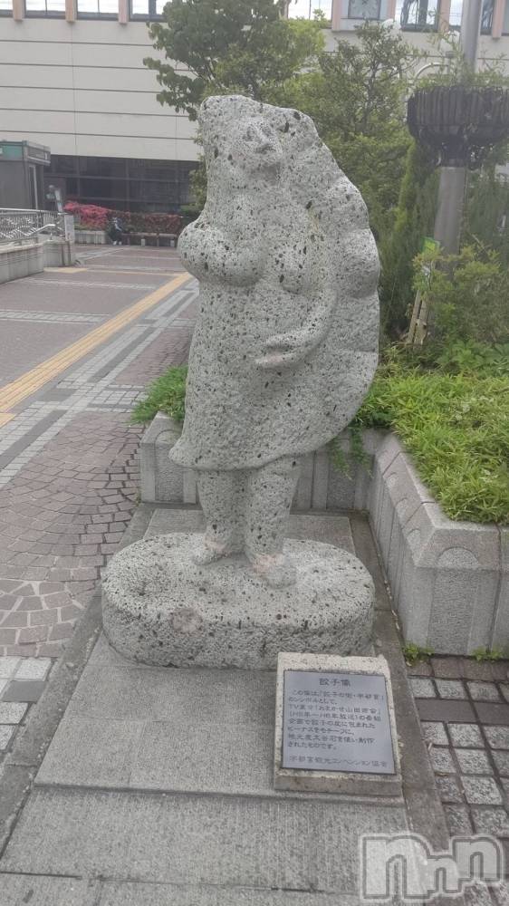 ĮХ顦֥ ץ ( ץ ) 䡡620̥֥🥟🗽