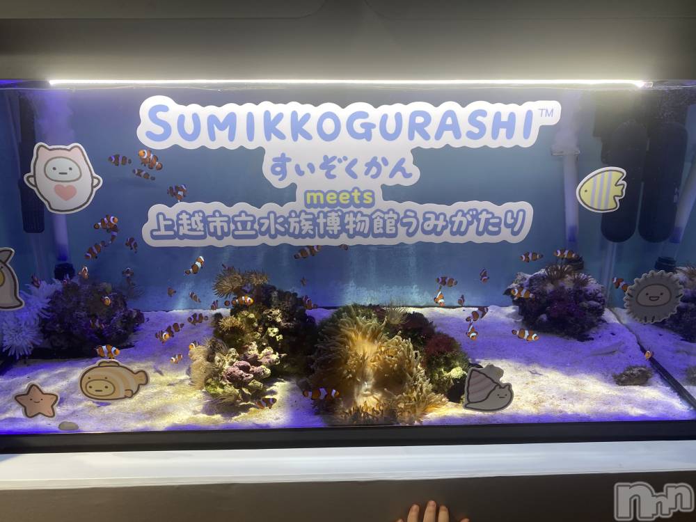 ĮХ顦֥ ץ ( ץ ) 䡡729̥֥֡뎥🐠