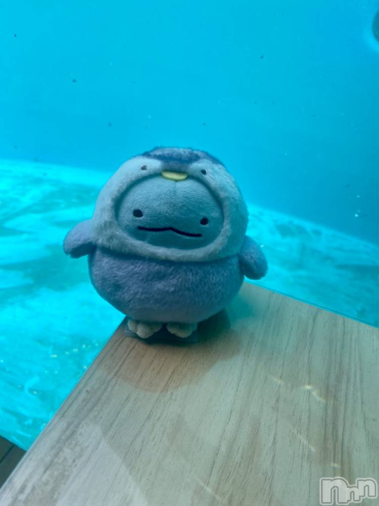 ĮХ顦֥ ץ ( ץ ) 䡡729̥֥🐧🩵