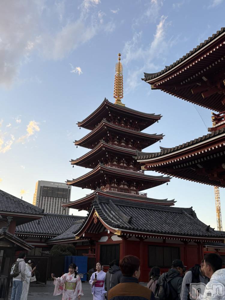 ĮХ顦֥ ץ ( ץ ) 䡡131̥֥🏯