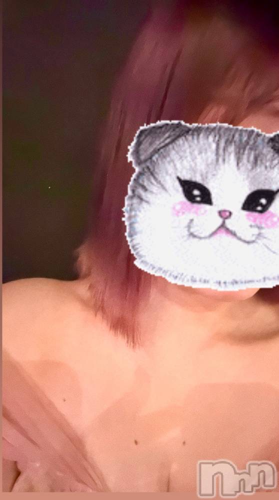 ĮХ顦֥ ץ ( ץ ) 䡡227̥֥🐱