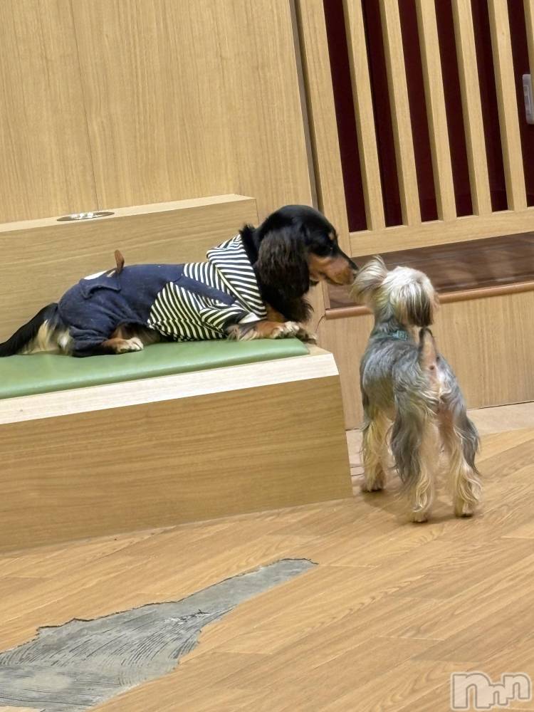 ĮХ顦֥ ץ ( ץ ) 䡡313̥֥🐶