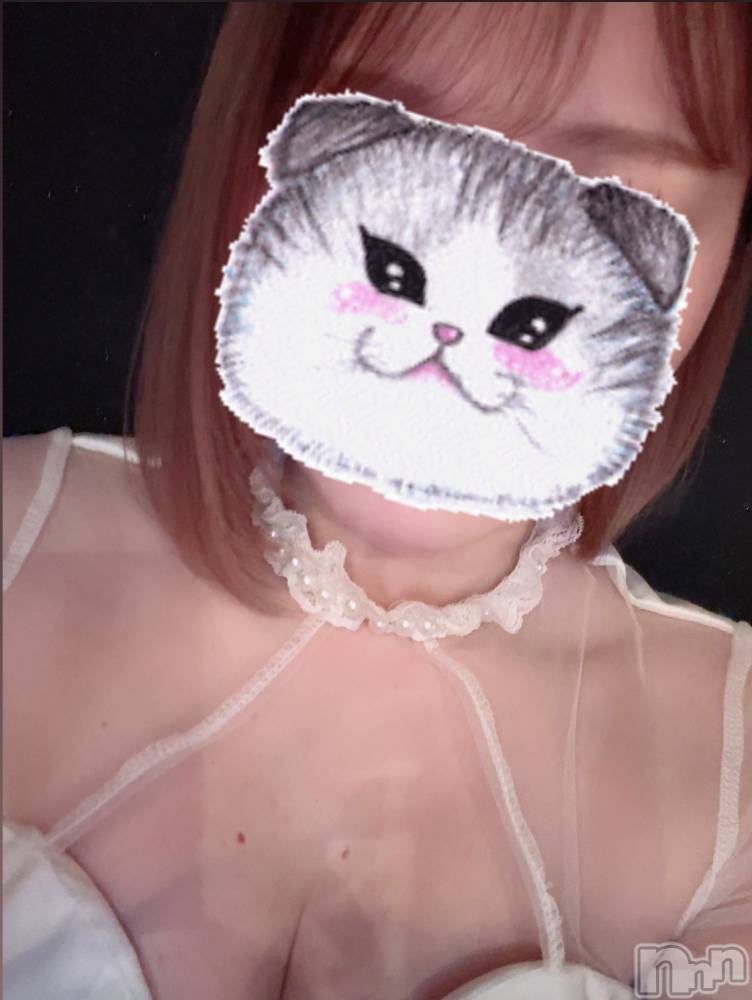 ĮХ顦֥ ץ ( ץ ) 䡡41̥֥🐱ྀི🐱ྀི