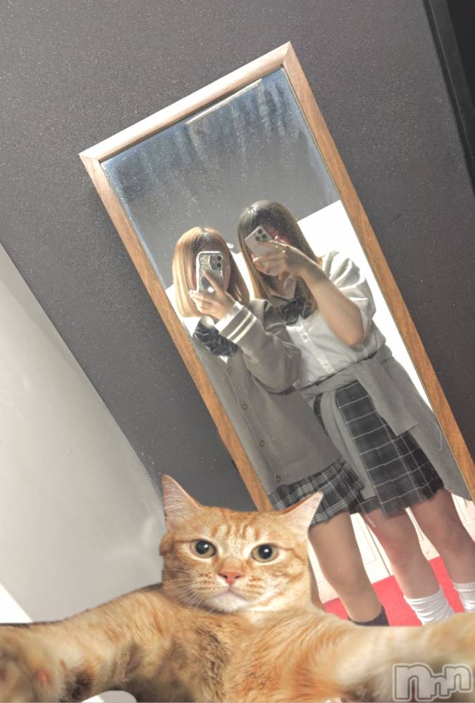 ĮХ顦֥ ץ ( ץ ) 䡡421̥֥( 𓈒 ᱹ ﹼ ̫ ᱹ)᎔᎔(ᱹ ﹼ ̫ ᱹ 𓈒 )