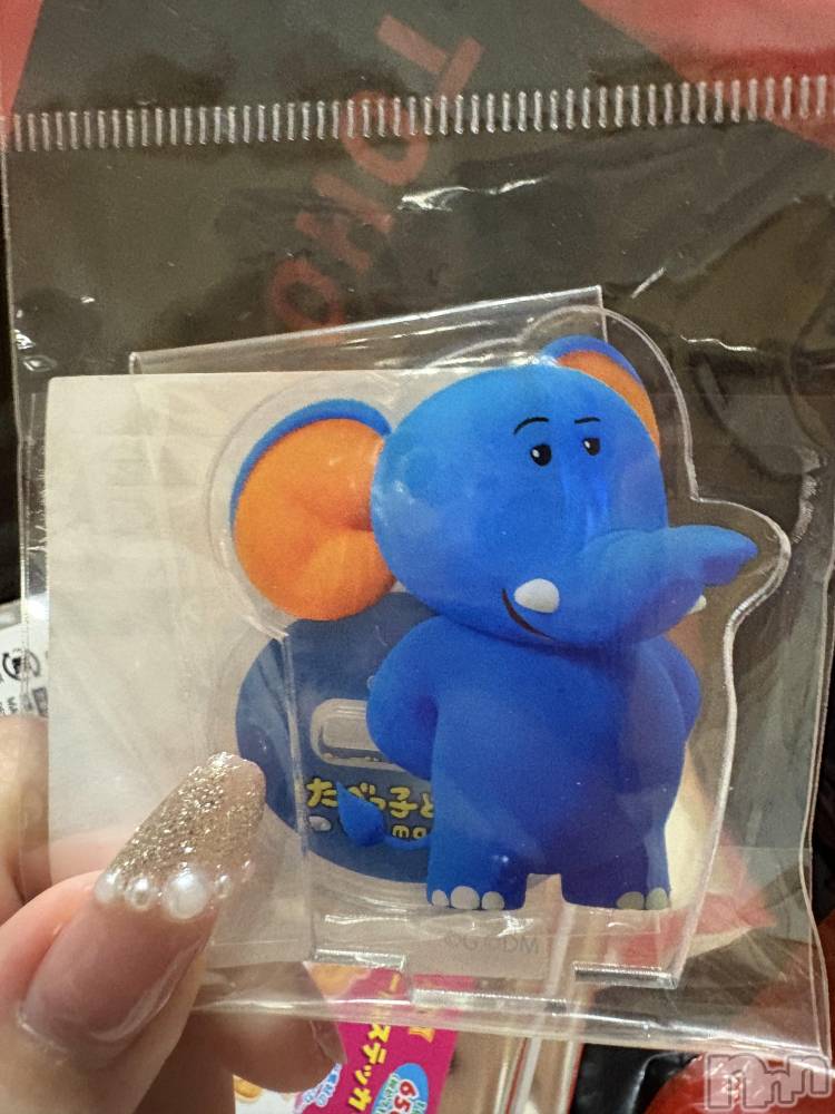 ĮХ顦֥ ץ ( ץ ) 䡡515̥֥🐘💕