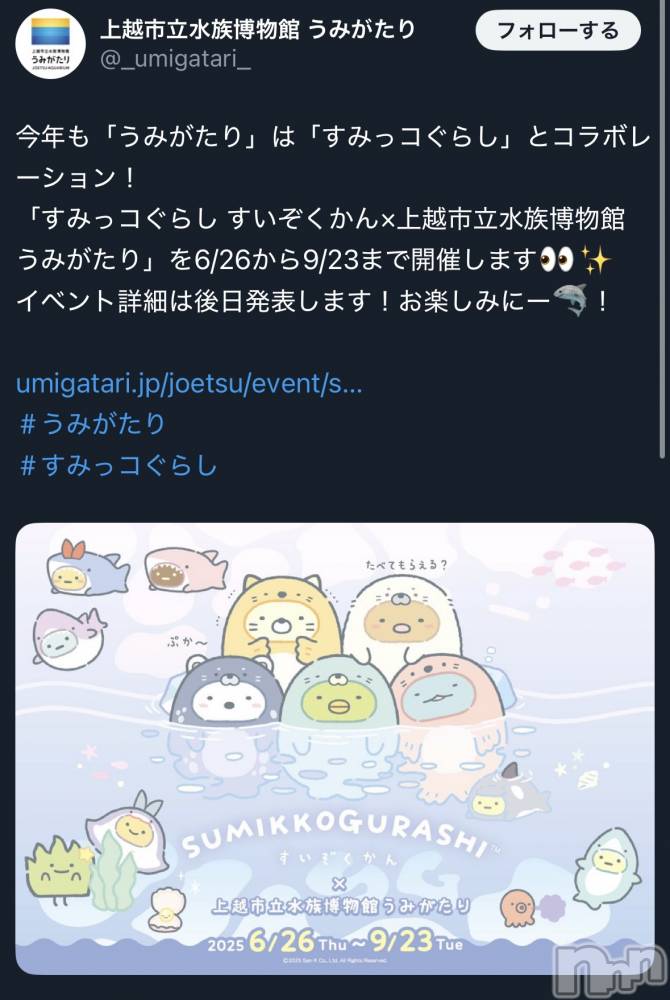 ĮХ顦֥ ץ ( ץ ) 䡡527̥֥🪼🐬