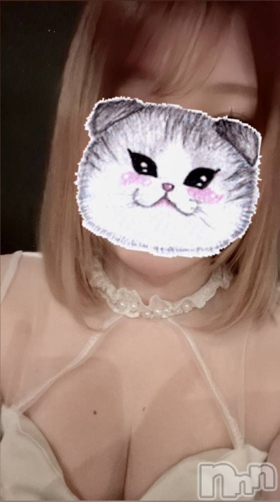 ĮХ顦֥ ץ ( ץ ) 䡡529̥֥🐈