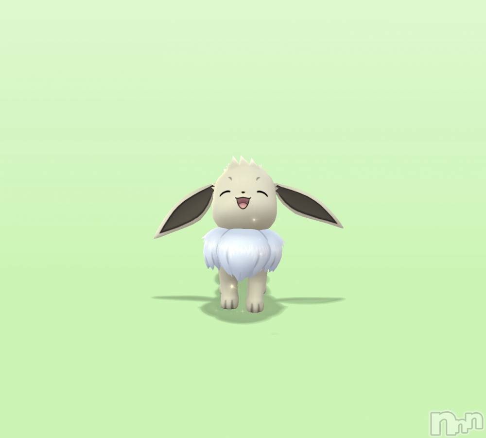 ��Į����Х��顦����֥���� �ץ���� ����(����� �ץ���� ������) ���䡡����12��12���̥�֥�����🫶��